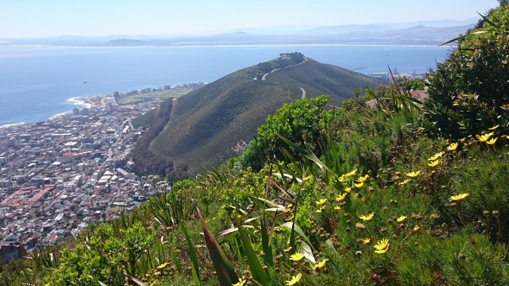 Tailor-Made tours South Africa